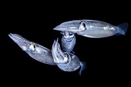 49a2fa182d25387bbdceb5533134199b_전민석 KakaoTalk_20260227_011111191.jpg